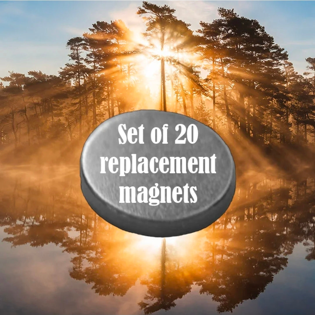Set of 20 N55 Replacement Magnets