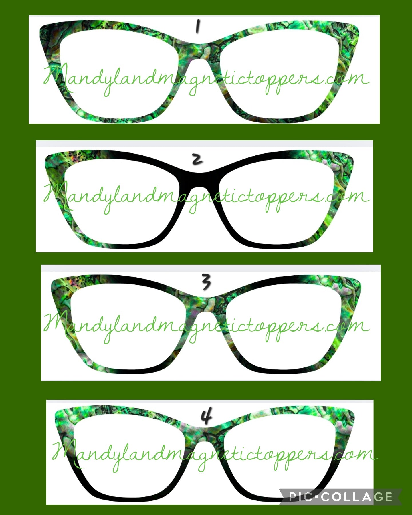 Green Abalone *4 Ways